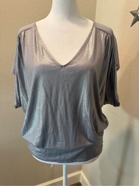 Express Metallic Gray V-Neck Shimmer Blouse